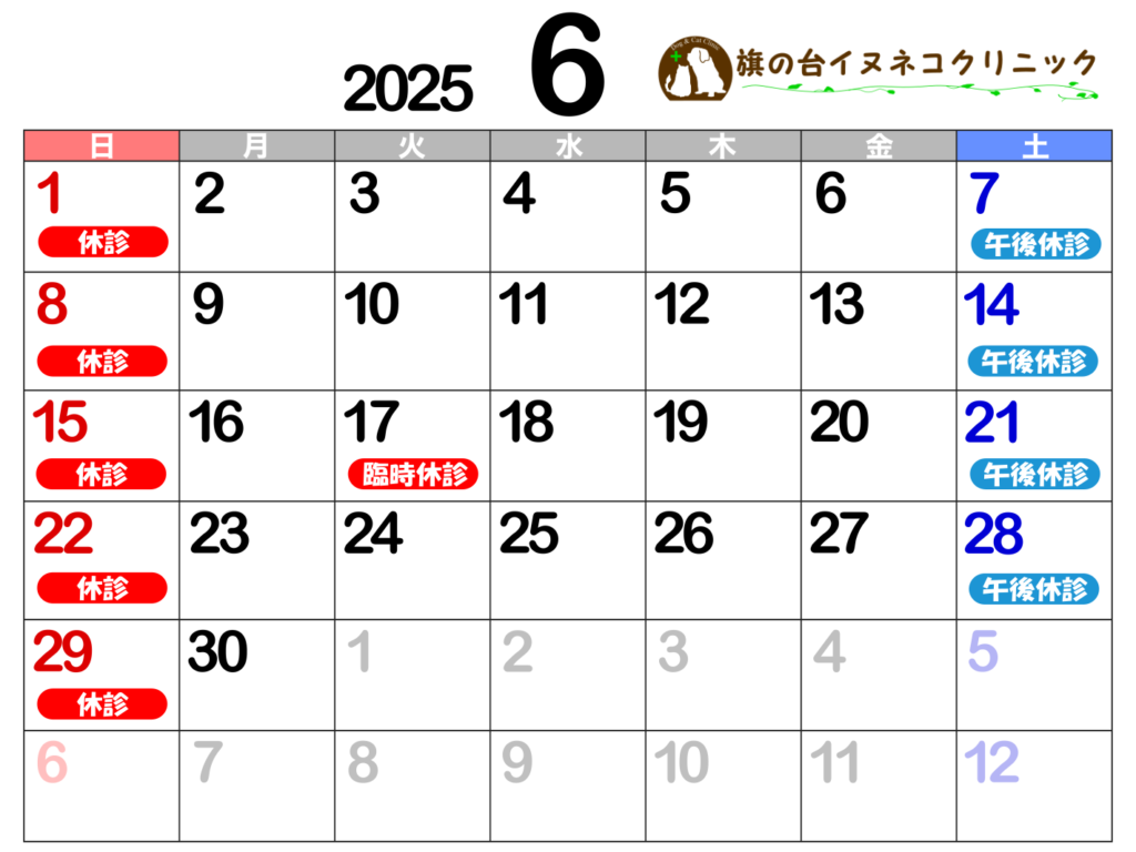 2025年6月診察カレンダー