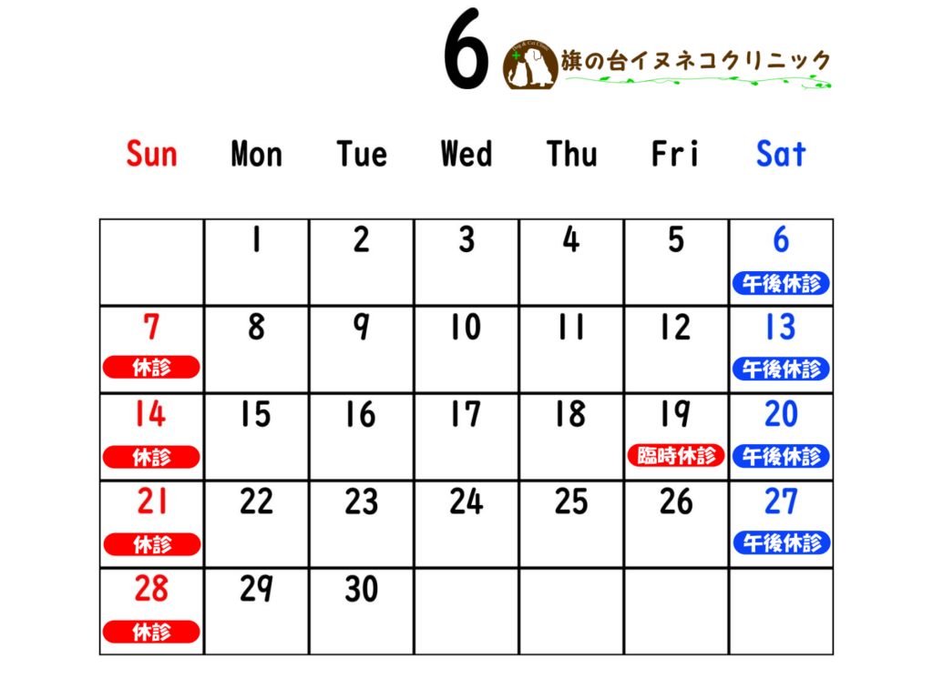 2026年6月診察カレンダー